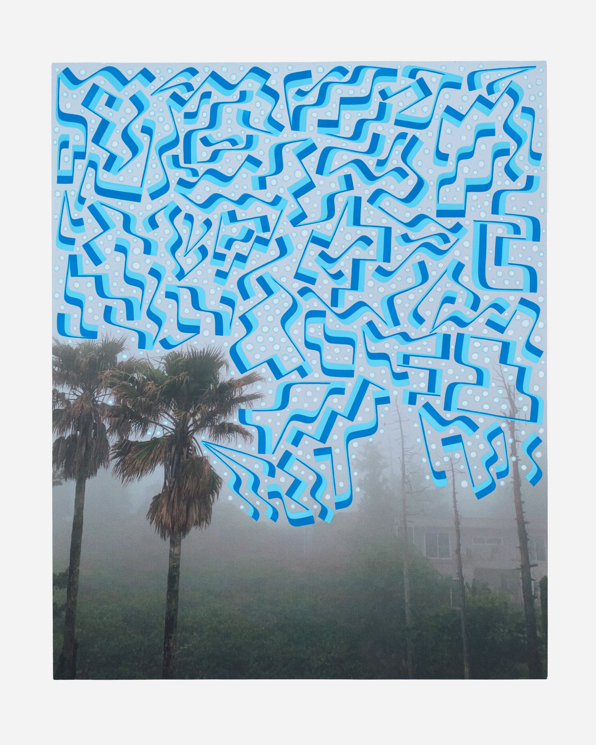 Isaac tin wei lin 0683 1200 xxx q85