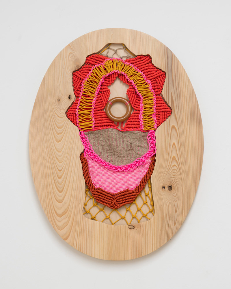 Jesse harrod 0122 800 xxx q85