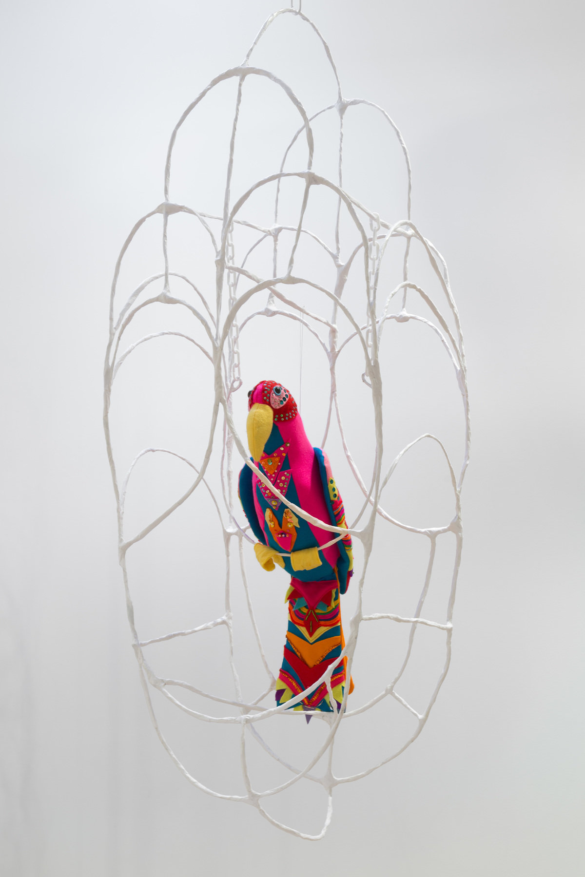 Jesse harrod 0126 1200 xxx q85