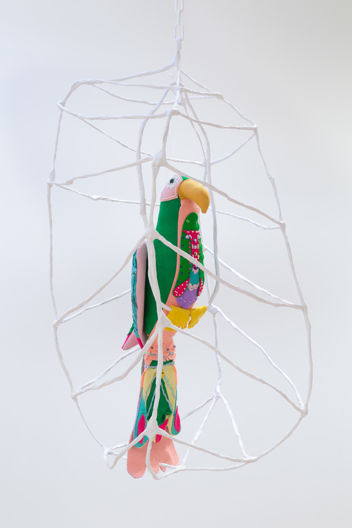 Jesse harrod 0127 1200 xxx q85