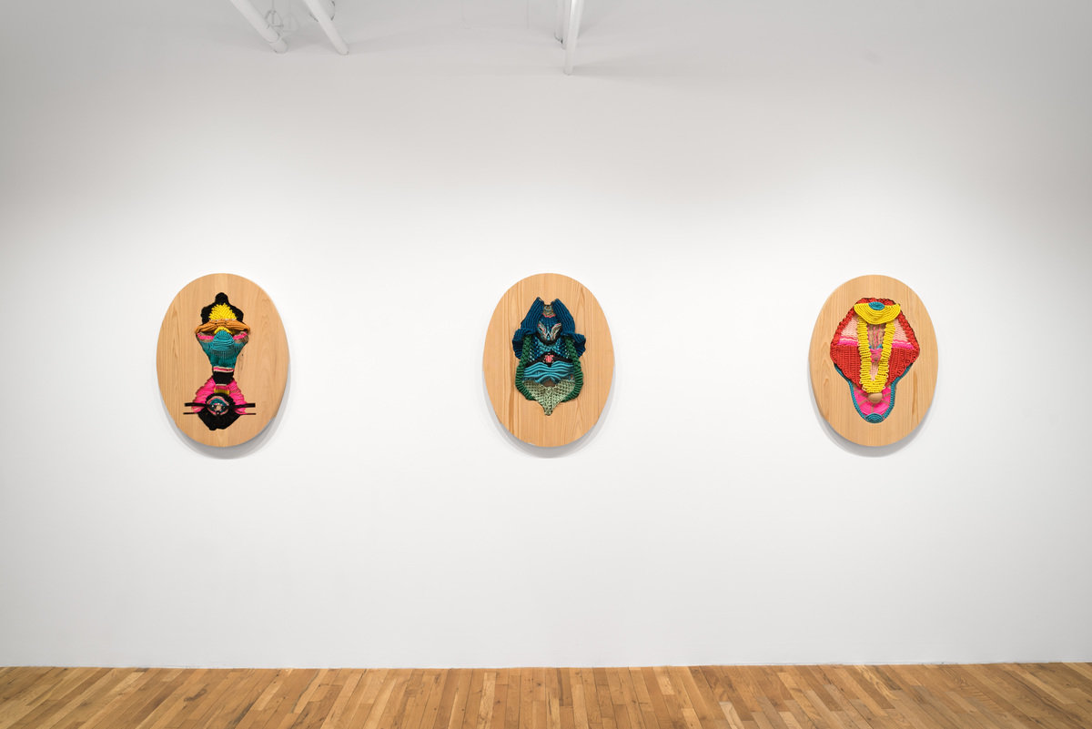 2026 02 03 jesse harrod 06 1200 xxx q85