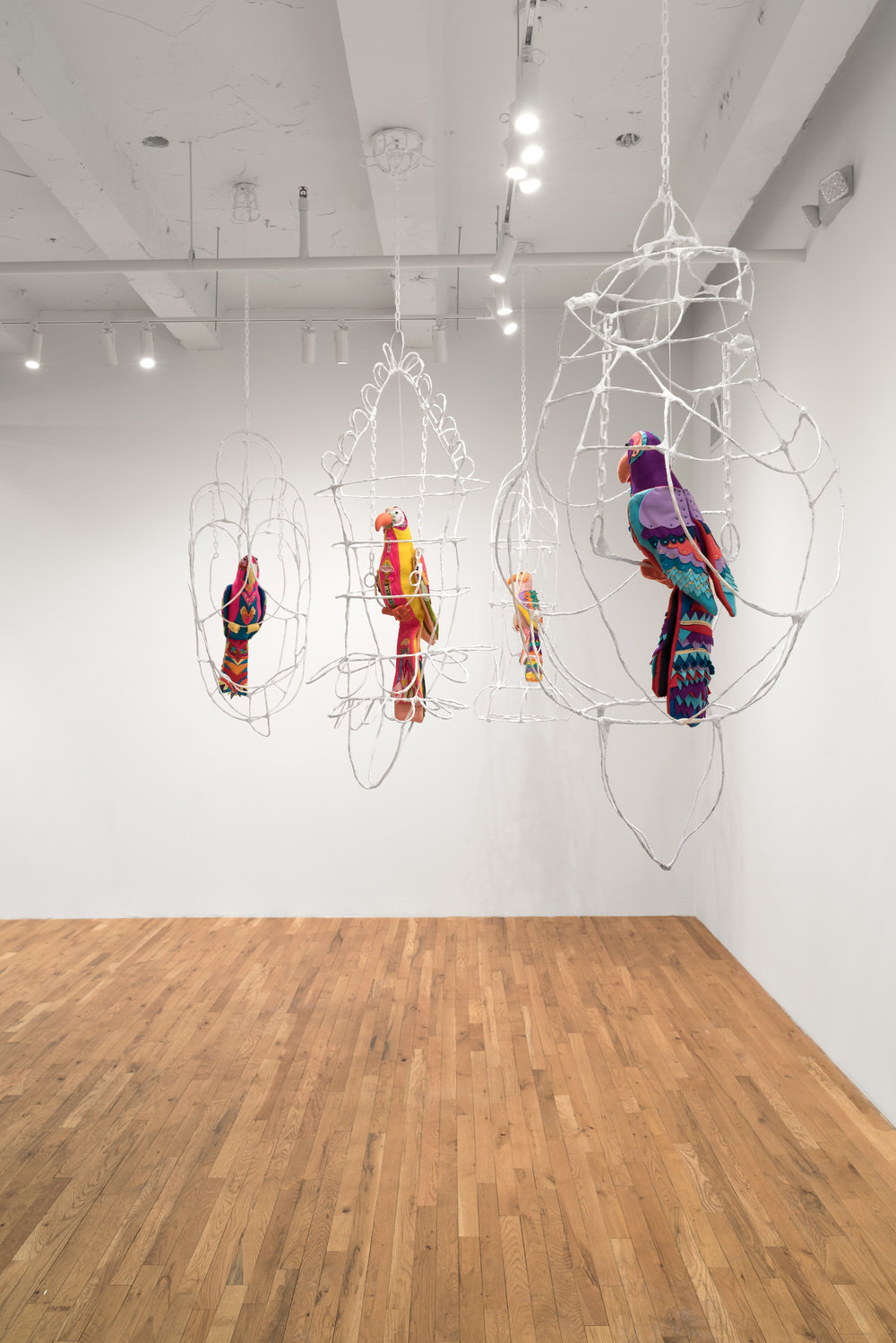 2026 02 03 jesse harrod 10 1000 xxx q85