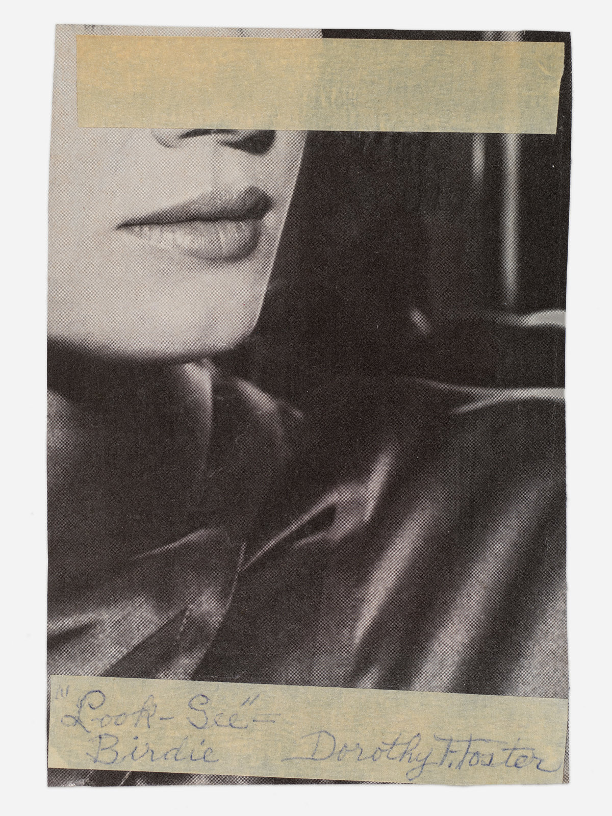 Dorothy f foster 0158 v 1200 xxx q85