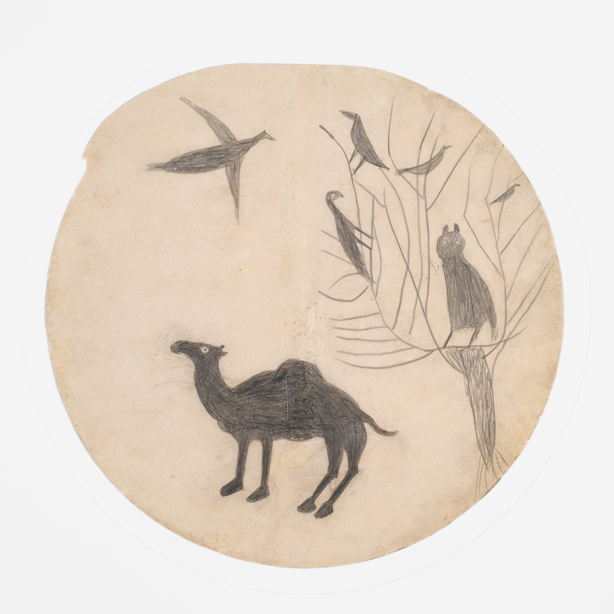 Bill traylor 0103 1200 xxx q85