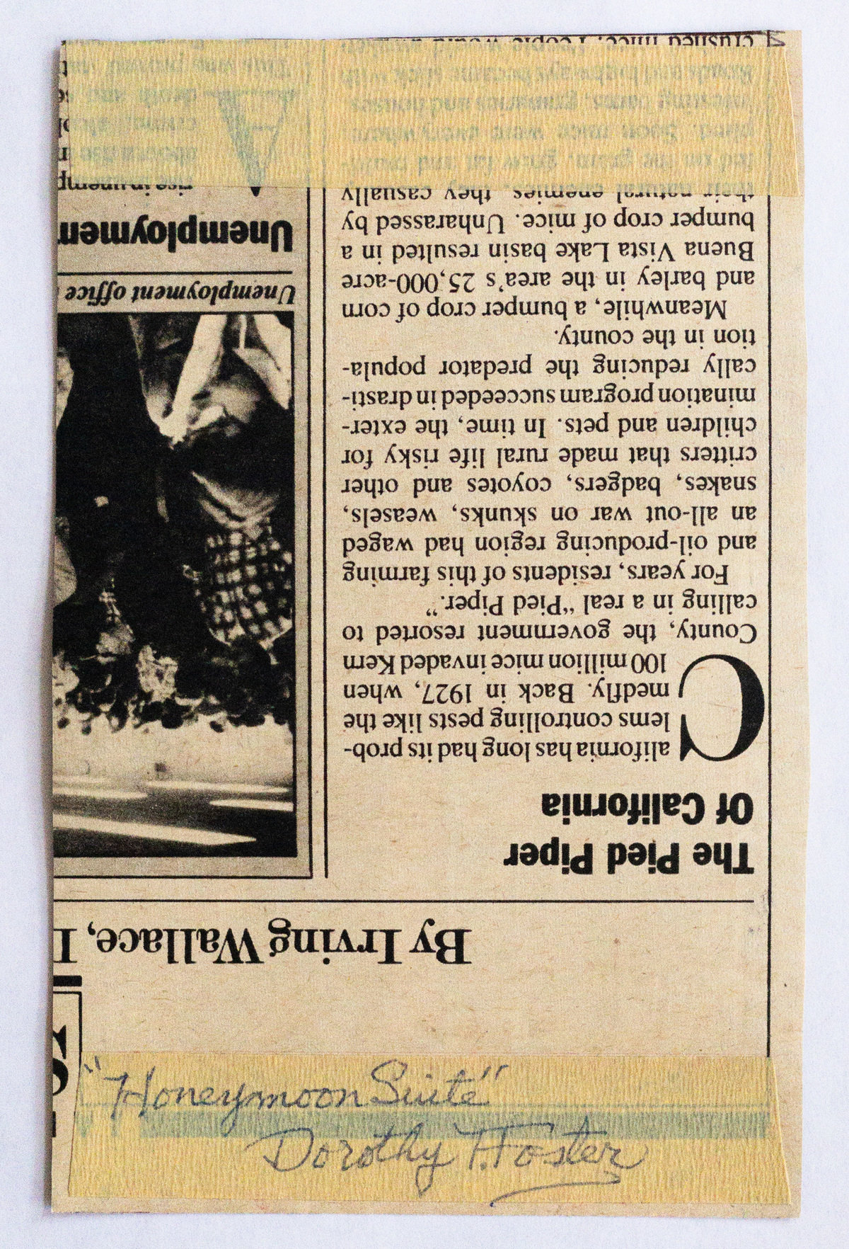 Dorothy f foster 0616 v 1200 xxx q85